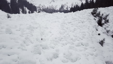 Lawinenauslaufzone-In-Den-Alpen,-Österreich,-Kleinwalsertal,-Schlechtes-Wetter