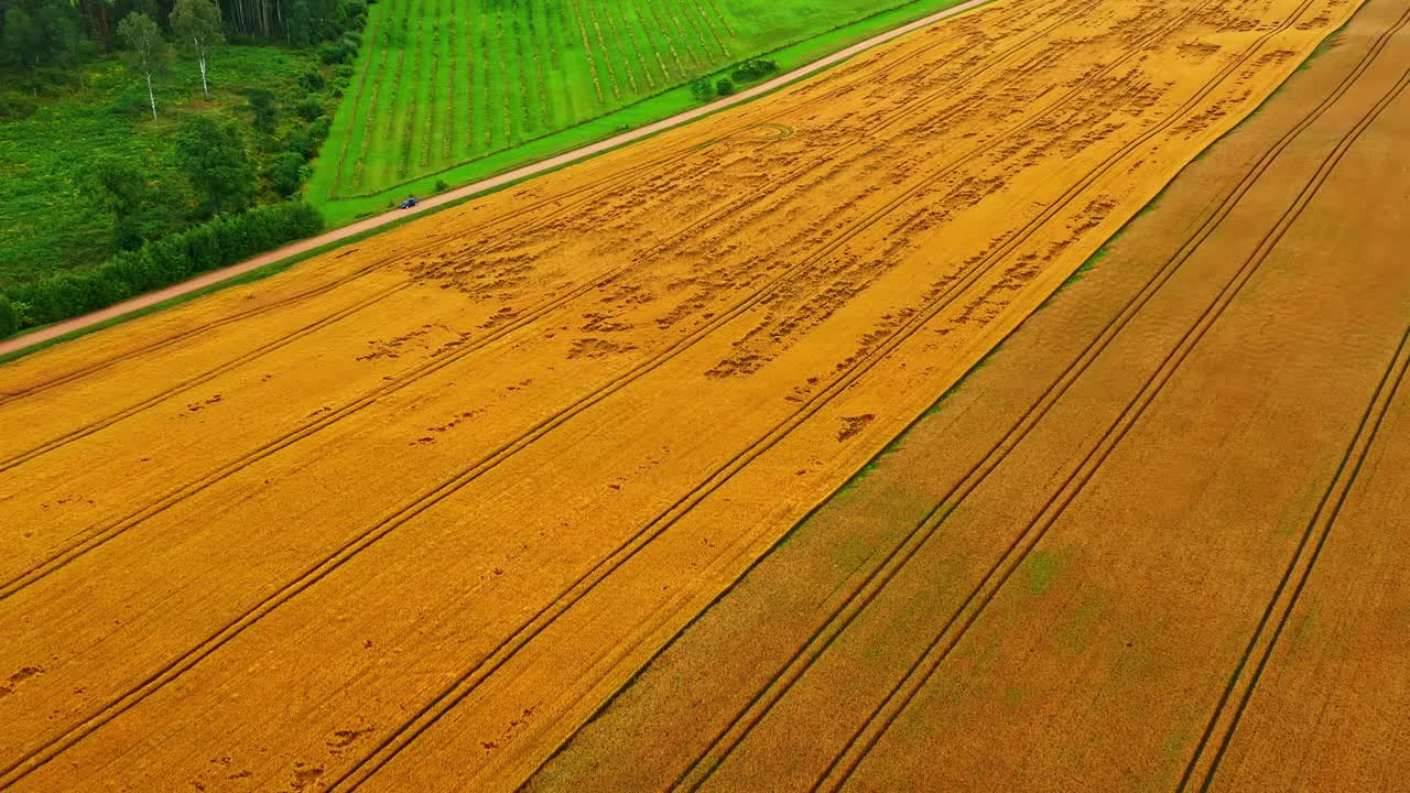 Aerial view of lodged grain field showing crop damage and harvesting patterns