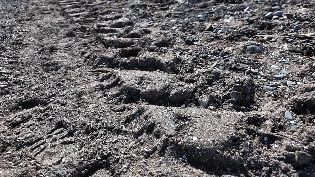 Impressed tire tracks creating textured lines on a dark, wet beach surface