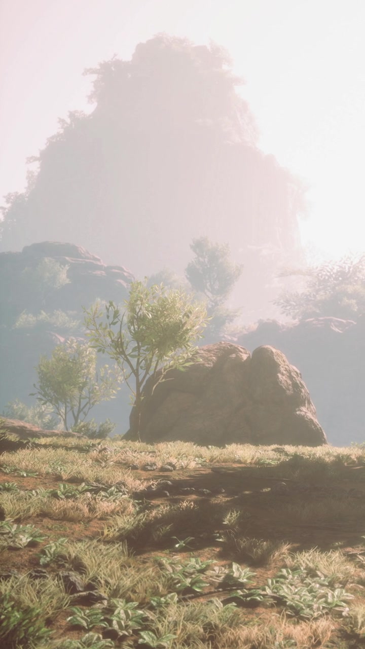 Scena naturale con alberi e rocce in piena luce di giorno.