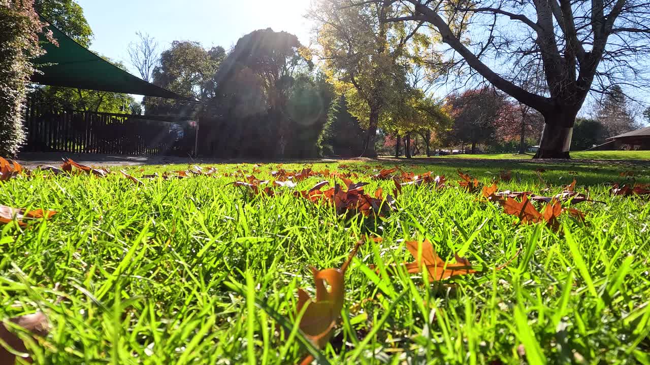 풀과 나무 위에 밝은 빛