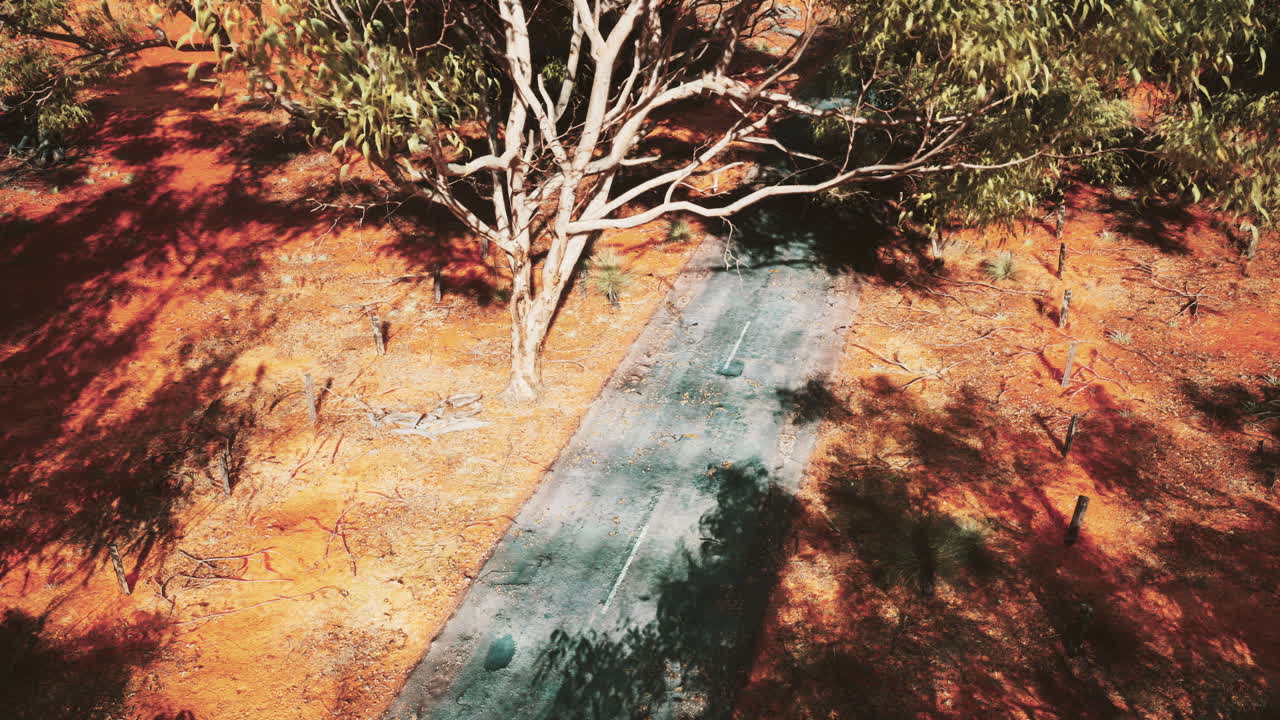 camino del desierto en australia