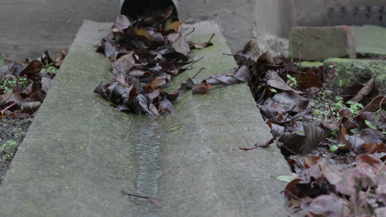 콘크리트 에서 흐르는 물은 은 가을 으로 비를 내립니다.