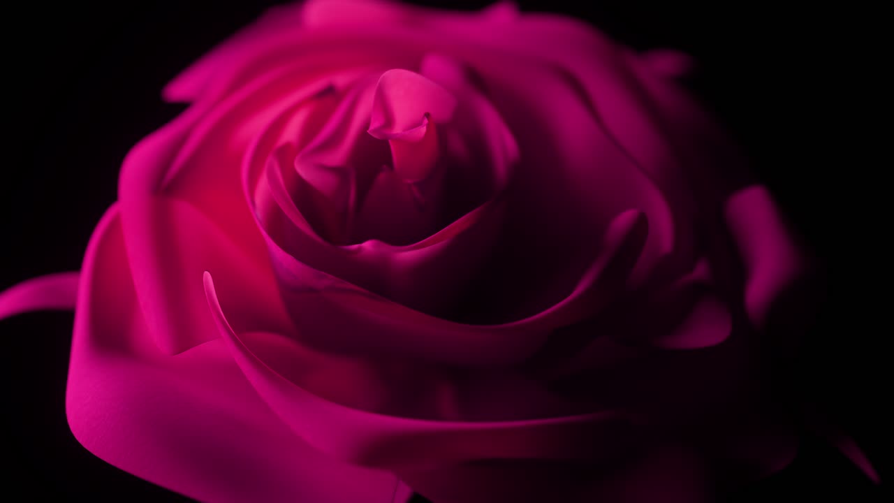 abstracto de la rosa magenta