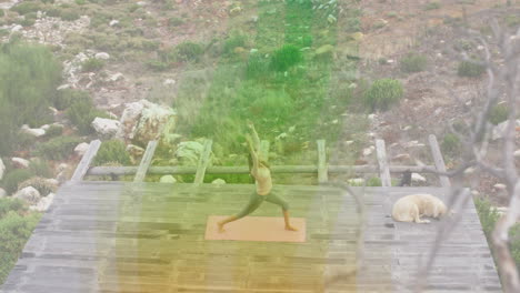 woman practicing yoga on wooden deck with sleeping dog, showing animated health metrics