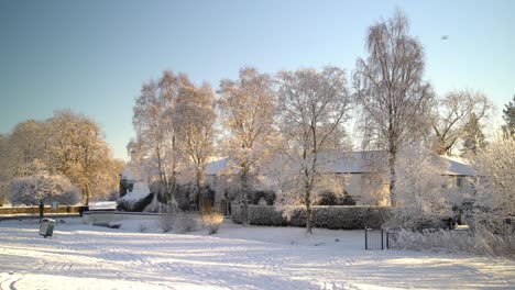 walking forward into a snowy golden hour scene in a local park, scotland