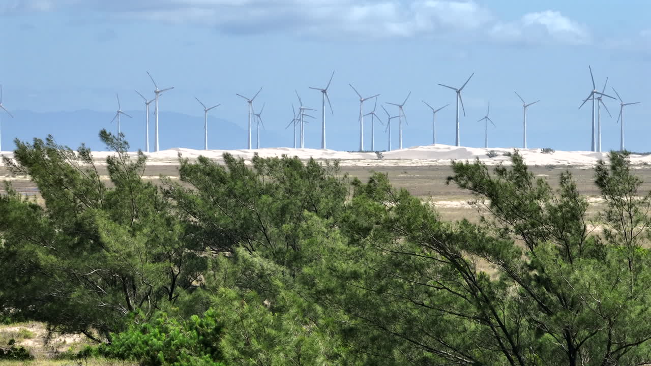 Smooth sideways telephoto 7x drone reveal of wind turbines across coastal dunes with foreground trees for parallax and gentle heat haze under clear blue sky. Sunny daytime renewable energy concept