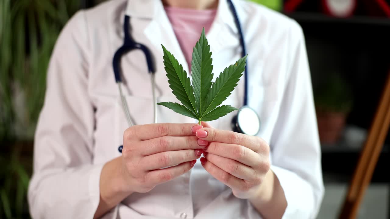 Doctor holding cannabis leaf