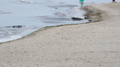mujer caminando por la playa con los pies descalzos - foto ancha