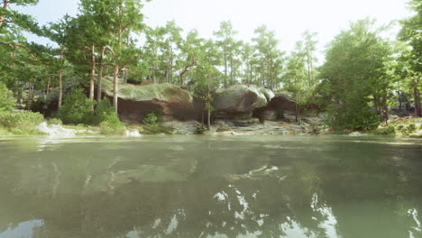 tranquil forest lake