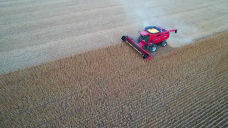 un agricultor cosecha una cosecha de soja en el noreste de wisconsin