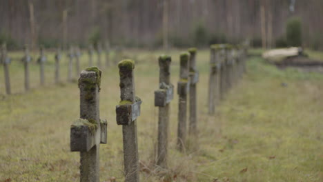 static shot of row of old gravestones