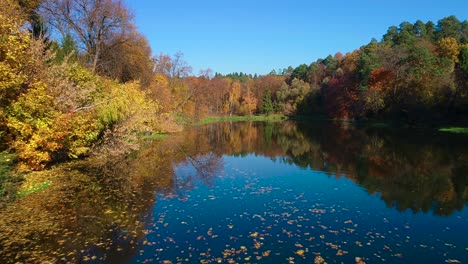 Buntes-Herbstwaldholz-Am-See