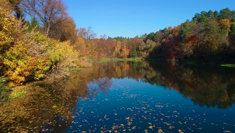 colorful autumn forest wood on the lake
