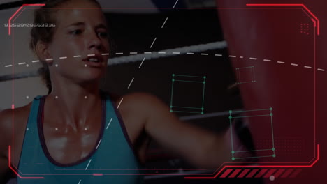 animación de la red de conexiones con el entrenamiento de boxeadores
