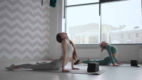 two women do back exercises together in front of a window in the fitness room. two women perform a stretch and warm-up of the back together with the instructor.