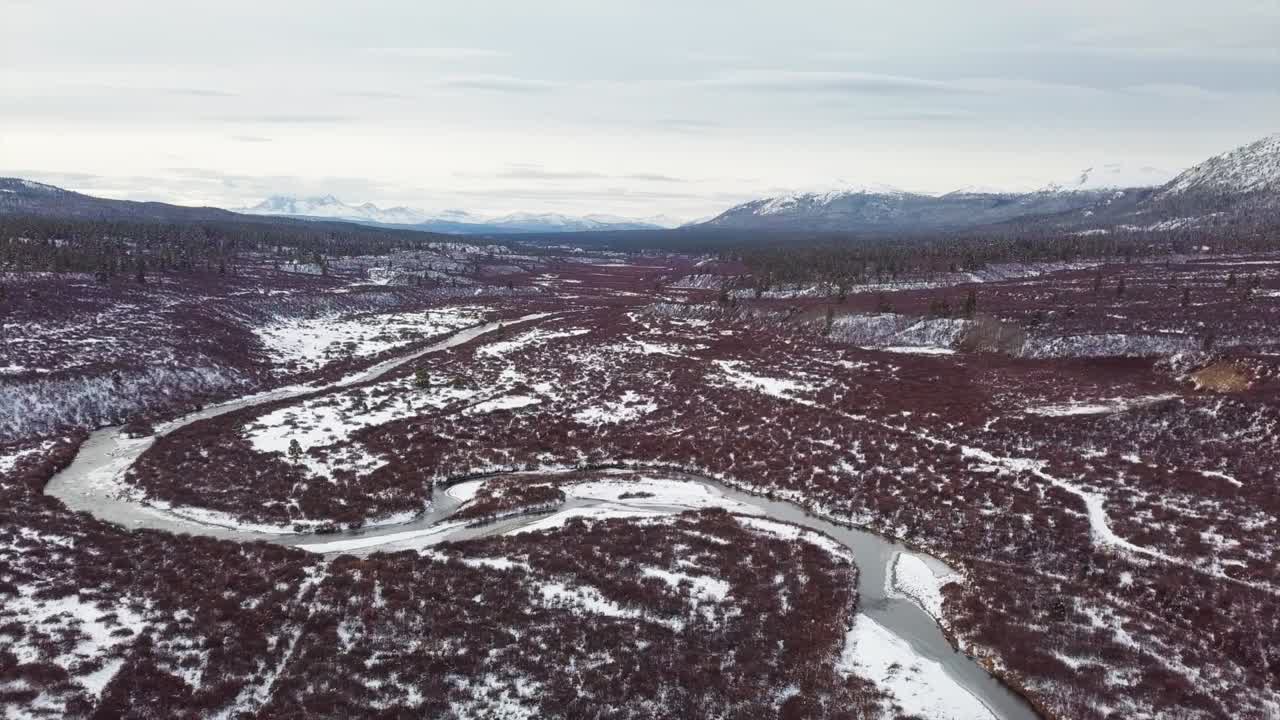 pintoresco vuelo panorámico de otoño sobre el río o'donnel congelado y el bosque de maderas de color rojo hacia la cordillera de fondo en un día nublado brillante, columbia británica, enfoque aéreo superior