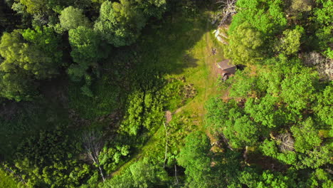 aerial rotating view looking down over lush green trees and countryside