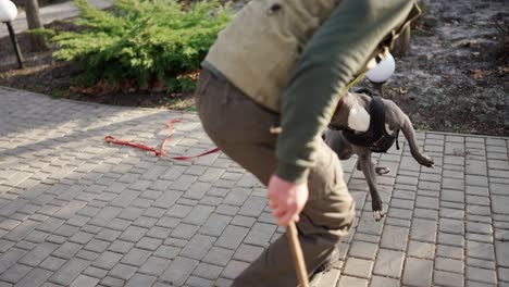 Zytologe-Hund-Beißt-Und-Klammert-Sich-Während-Des-Trainings-An-Die-Hand-Des-Verbrechers