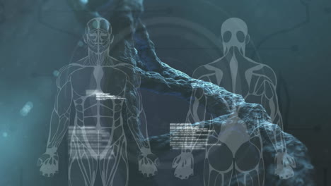 animation of 3d dna strand spinning and data processing over human models