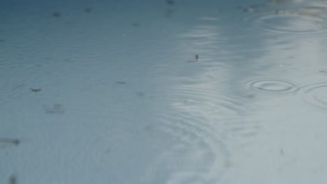 雨滴散落在地上