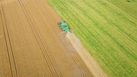 Cosechadora-En-El-Trabajo-En-El-Campo-De-Trigo.-Aéreo