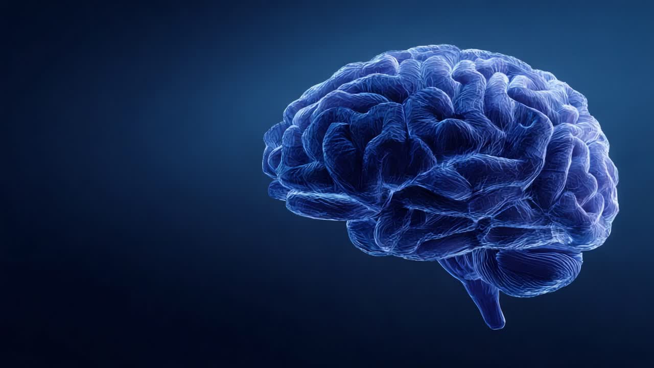 A Stunning Representation of the Human Brain in a Simplistic Yet ...