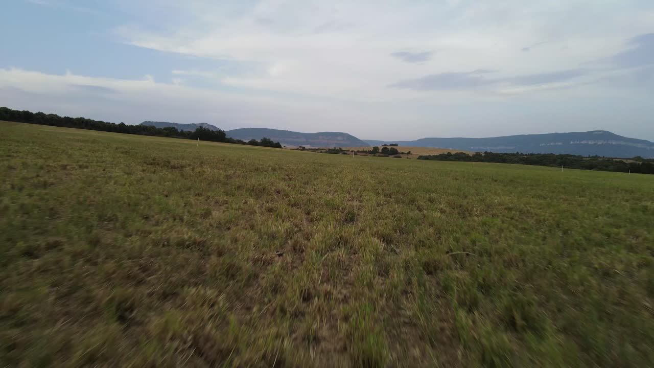 Beautiful scene on meadow for cinematic(sport mode) 4k