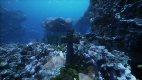 underwater coral reef scene with fish and rocks