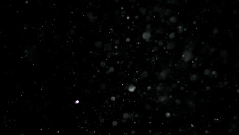 nieve en cámara lenta sobre un fondo negro