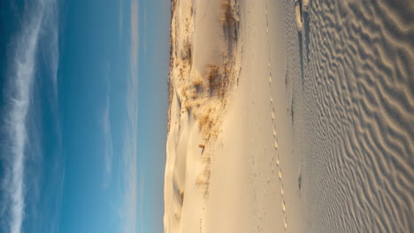 Lapso-De-Tiempo-Vertical-4k,-Parque-Estatal-Monahans-Sand-Hills,-Texas-Usa,-Paisaje-Desértico-Bajo-Un-Cielo-Azul