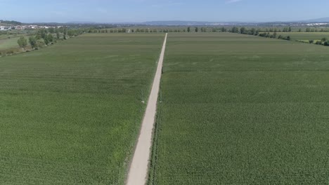 summer crops in european farm land aerial background