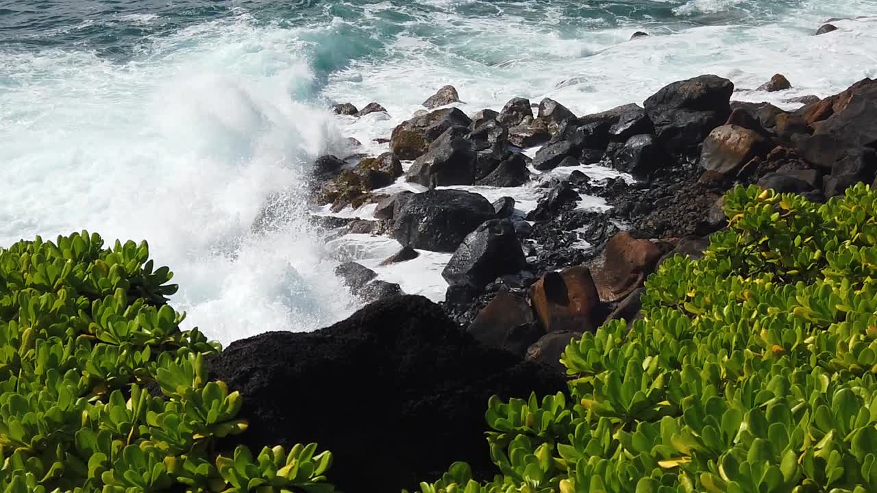 hd cámara lenta hawaii kauai estática de las olas del océano rompiendo de izquierda a derecha en las rocas a lo largo de la costa con arbustos en las esquinas inferiores y lava en el centro inferior del primer plano