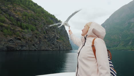 Eine-Frau-Füttert-Eine-Möwe,-Die-Im-Vertrauen-Fliegt-Und-Die-Konzeptreise-Durch-Die-Fjorde-Von-Nor-Zähmt