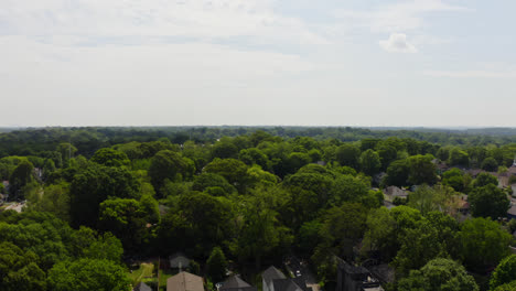 árboles verdes exuberantes entre los edificios de viviendas estadounidenses en el área suburbana