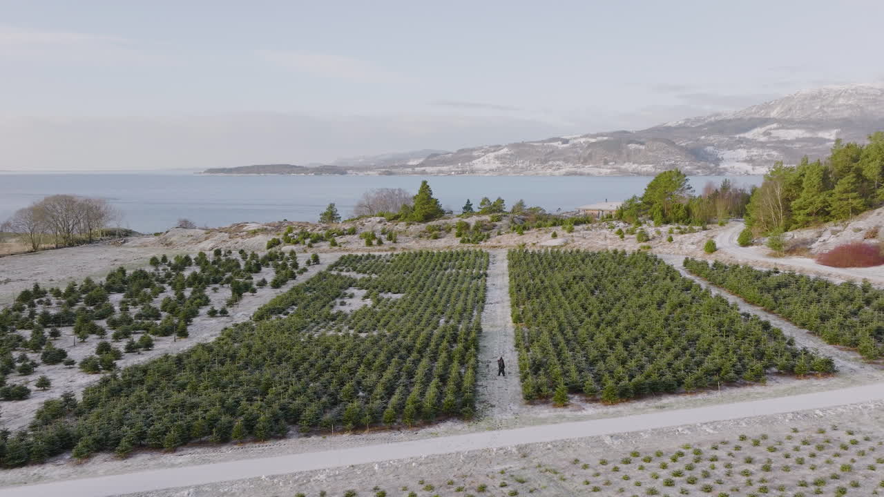 노르웨이 임업 산업의 장엄한 조감도