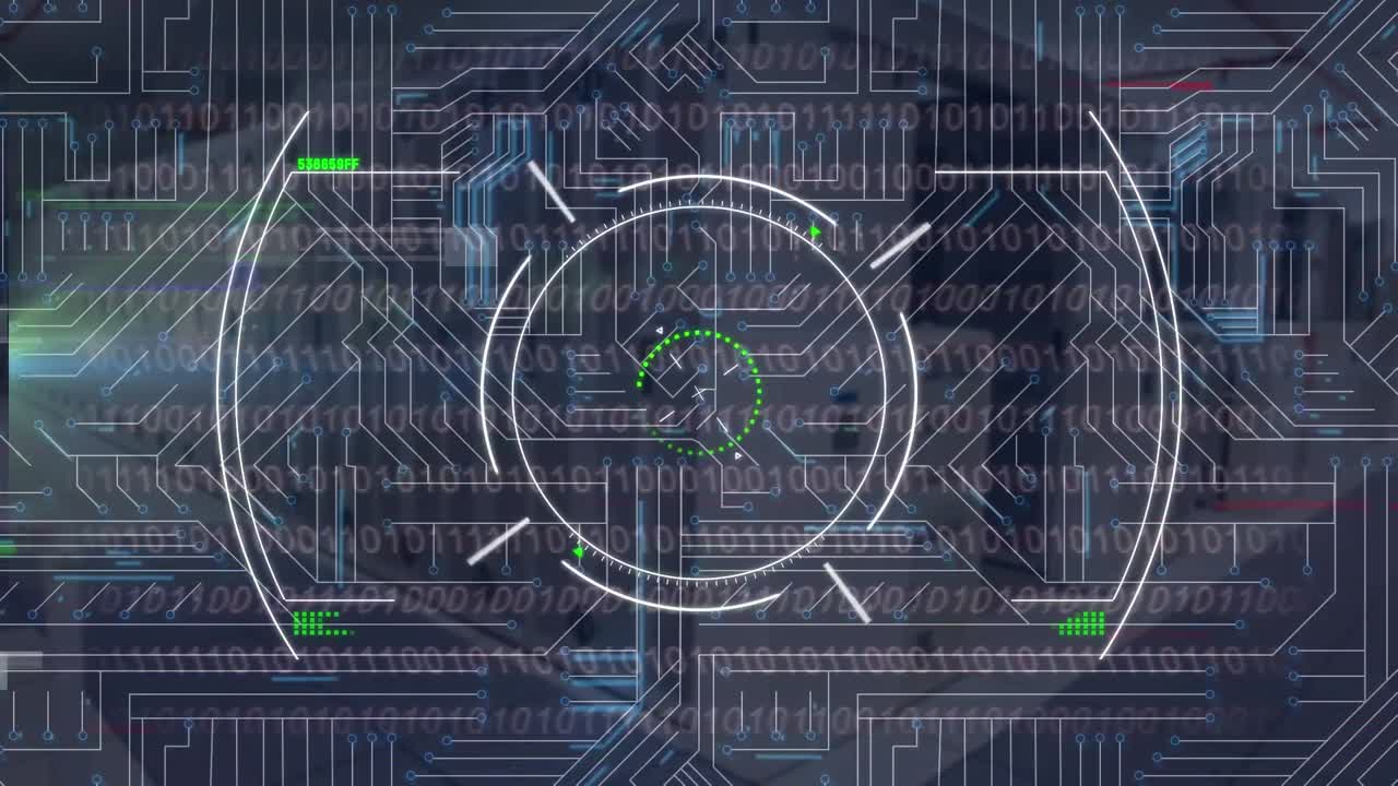 Animation of network of connections over data processing