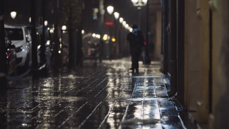 noche húmeda en la ciudad