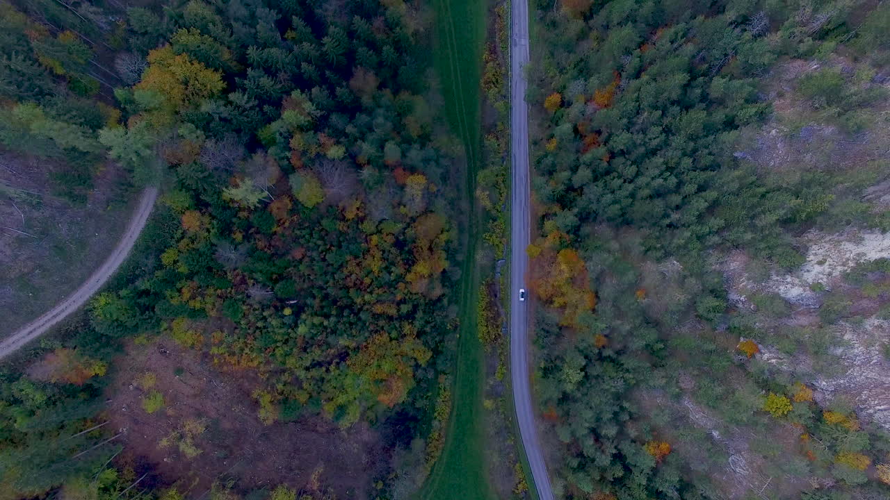 toma de un dron de un auto conduciendo a través de un bosque colorido, mirando directamente hacia abajo, 4k uhd