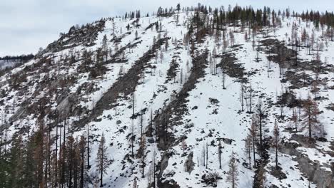 Aerial-view-of-hillside-of-burnt-forest-from-Caldor-forest-fire-in-Lake-Tahoe,-California-Nevada