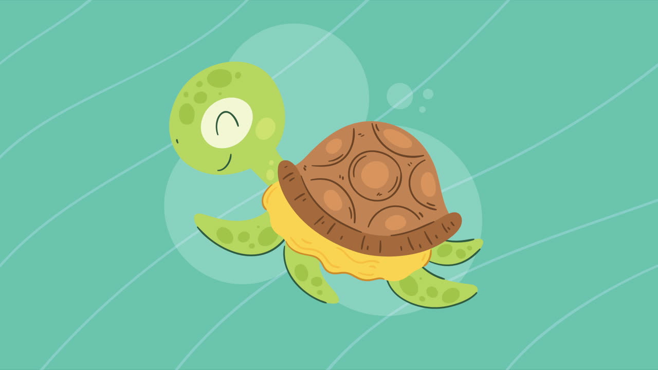 cute turtle swiming character animation