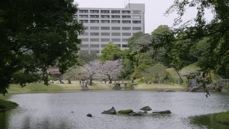 beautiful spring scenery inside koishikawa korakuen gardens in japan