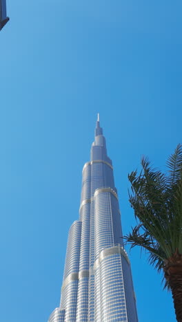 burj khalifa and palm trees in dubai