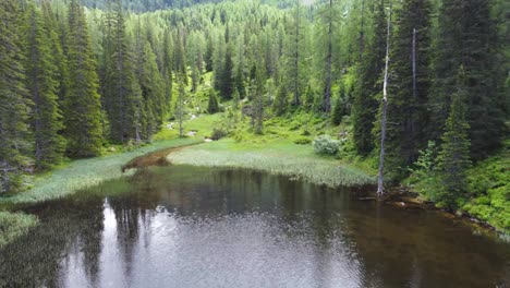 slow drone flight over crystal clear mountain lake in lush coniferous forest in tyrol