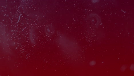 animación de puntos blancos en movimiento sobre fondo rojo