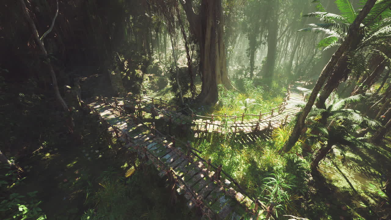 울창 한 초록색 정글 을 가로질러 휘어지는 나무 길