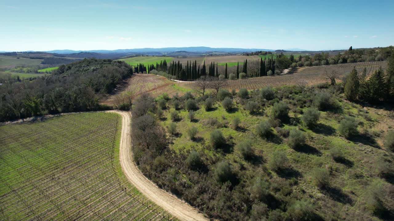 시에나 근처의 올리브 나무와 사이프러스 나무와 함께 봄에 토스카나 풍경의 아름다운 공중 풍경.