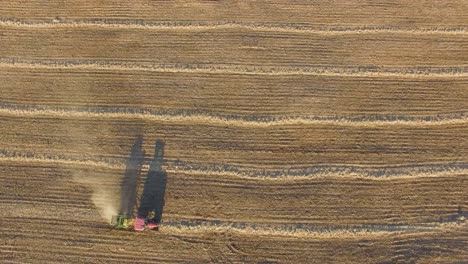High, wide view of rows in a farm field as a red tractor drives across the frame collecting and baling material for storage. Drone hovering, aerial footage.