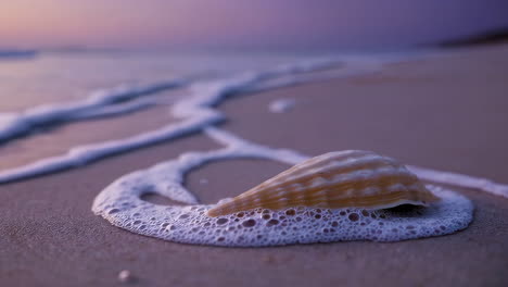 Sunrise/Sunset Beach with Waves and Seashells