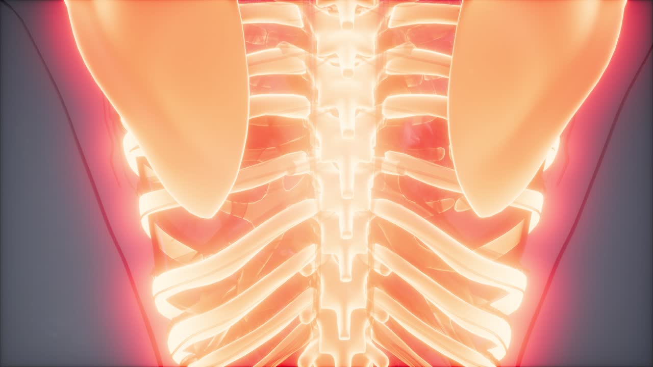 눈에 띄는  ⁇ 가 있는 투명한 인간 몸